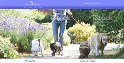 dogwalking.yes1.co.uk