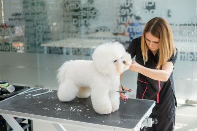 Shutterstock 1709897338