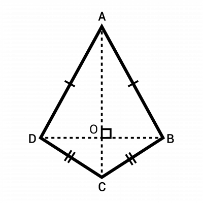 Shutterstock 1950349630