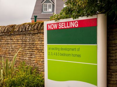 Shutterstock 1958446927